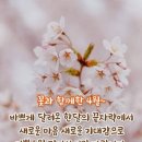 꽃과 함께한 4월~ 이미지