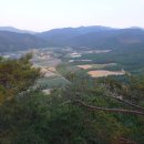 오지 Daum카페