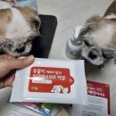 마리팜약국 네이버블로그