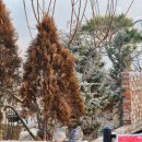 고운고등학교건너편 이미지