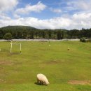 둥이목장 이미지