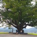 야로경로당 이미지