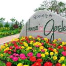 꽃섬나드리 이미지