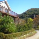 푸른솔리조트펜션 이미지