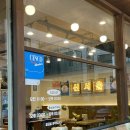 신서울 | 양재동 맛집 추천 국물이 끝내주는 신서울 뼈해장국 방문 후기