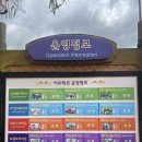 김해 롯데워터파크 / 하이시즌 방문 후기