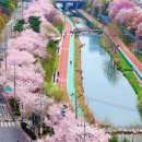 내일(일요일.8월 17일) 우이령트레킹-----------12시. 가오리역 1번출구 밖입니다 이미지