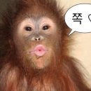 프롬 베이스먼트 이미지