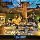 문예색깔나라어린이집 | 목포 아이랑 가볼만한곳 목포자연사박물관 실내 나들이
