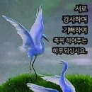 우리의료기 Daum카페
