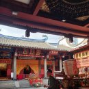 아린ALIN
