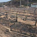 삼고경로당 이미지