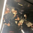 송원 태권도 이미지