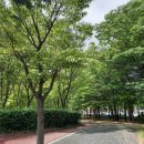 일곡 제1근린공원 이미지