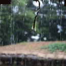 성읍민속마을 이미지