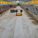 동선축사 이미지