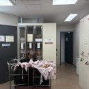 세이유외과의원 이미지