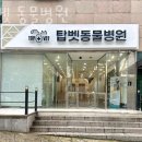 탑 | 서초구 서초동 동물병원 탑벳 동물병원 위치 오는길 후기