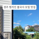 독도모밀 이미지