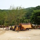 한씨네 이미지