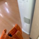 하이렉스파 이미지