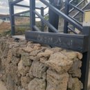 흰고래 숨비 이미지