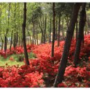 신흥동006 이미지