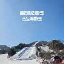 고원로 | 횡성 스키장 추천 [웰리힐리파크 스노우파크] 운영시간/장비렌탈/슬로프/내돈내산/솔직후기