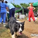 아반동아리 이미지