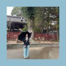 신성여객 | 미야지마 섬 비 오는 날 가볼만할까? 직접 다녀온 후기