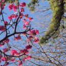 영월 보덕사 석조여래좌상 | 2026.02.21. 순천 낙안 금전산 금둔사를 찾아서