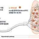 가상 핵융합로·암흑에너지·신경망 재건 등 "과학난제도전" 이미지