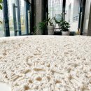 한보세탁 이미지