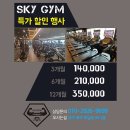 스카이 피티 이미지