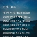 [중보기도요청] 2024년9월21일(토) 이미지