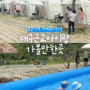 대구숲에가자 이미지