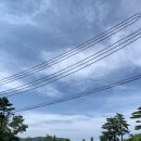 장호이미자펜션 이미지