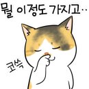 구미경동보일러