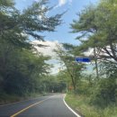 소호 푸른정원 이미지