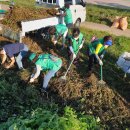 압독생활체육공원 이미지