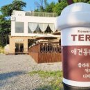 테리플라워 이미지