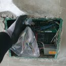 동성비디오 이미지