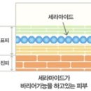 천연 보습 순수원액 라멘떼 세라마이드의 효과 이미지