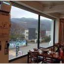 언니네해물손칼국수 이미지