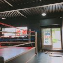 용인대TJ복싱체육관 이미지