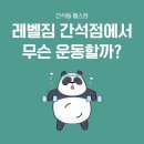 레벨짐 이미지