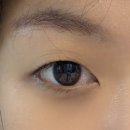 오특 | 올영추천 셀프속눈썹펌｜클리오네 3회분 올영세일 오특 9,900원 후기 (올영속눈썹펌 찐템)