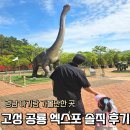 고성군 6 | 6살 아이랑 다녀온 고성 당항포관광지 공룡엑스포 현실 후기 체력은 필수