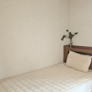 용성바이오 | 루시드슬립 허쉬 샴페인 베이지 침구 후기