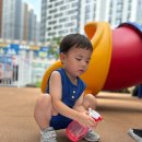 8월 4일 화요일 - 습자지로 표현한 바다 생물 이미지